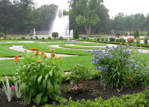 Museumtuin Paleis Het Loo (voorstel soortenlijst en beplantingswijze: Carla Oldenburger)