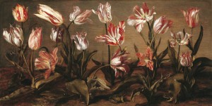 tulpen_adriaen-vds-300x151